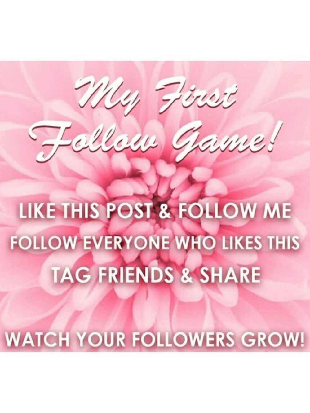 Follow Game! Make New Friends! Gain Followers !